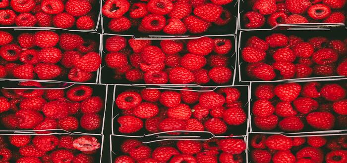 quais são as frutas vermelhas